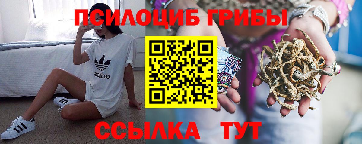 Псилоцибиновые грибы MAGIC MUSHROOMS  Вход с VPN  закладка  Пушкино 